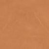 Рудий 